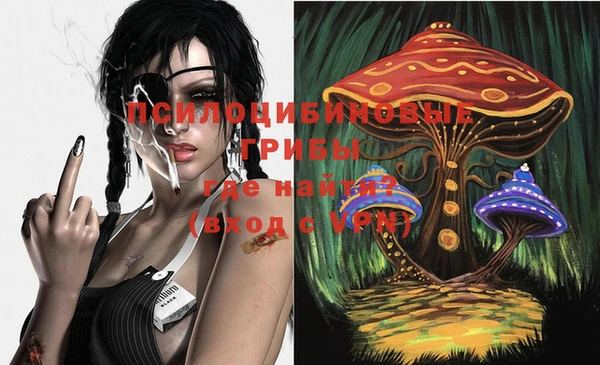 наркотики Новозыбков