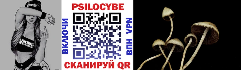 Купить  Пенза  Галлюциногенные грибы Magic Shrooms 